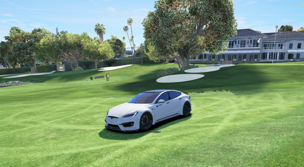 Tesla nevienetinis automobilis
