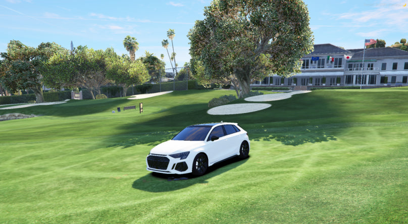 Audi RS3 nevienetinis automobilis