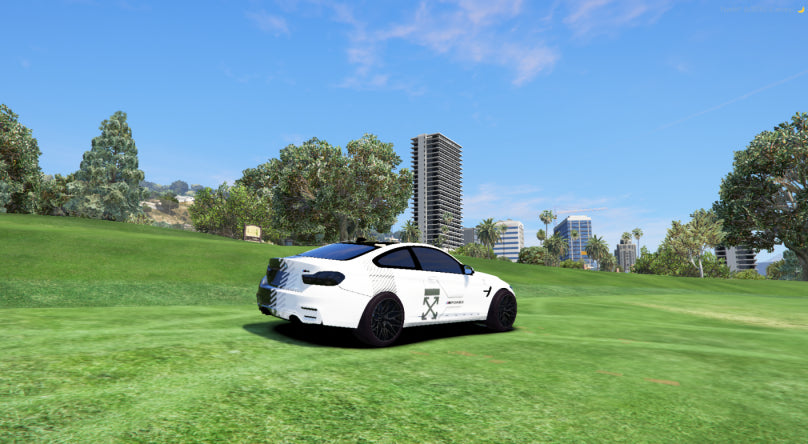 BMW nevienetinis automobilis