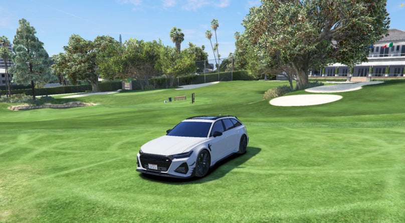 AUDI RS6 nevienetinis automobilis