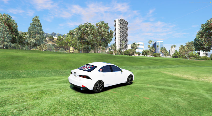 LEXUS vienetinis automobilis