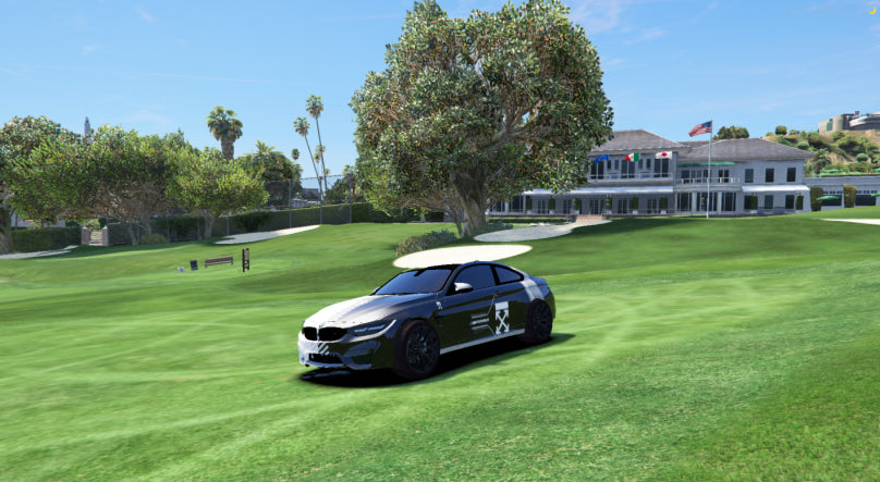 BMW nevienetinis automobilis