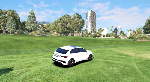 Audi RS3 nevienetinis automobilis