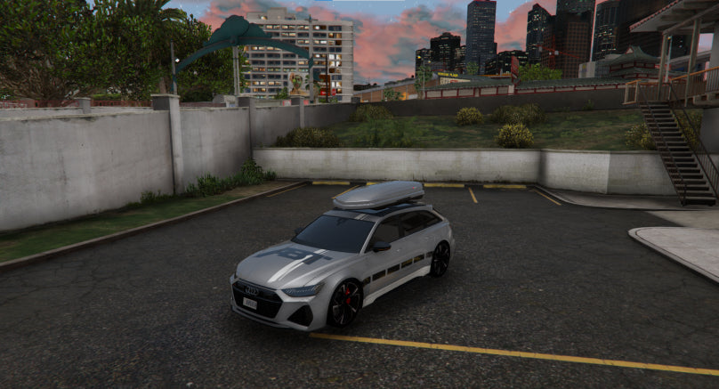Audi RS6 Avant nevienetinis automobilis