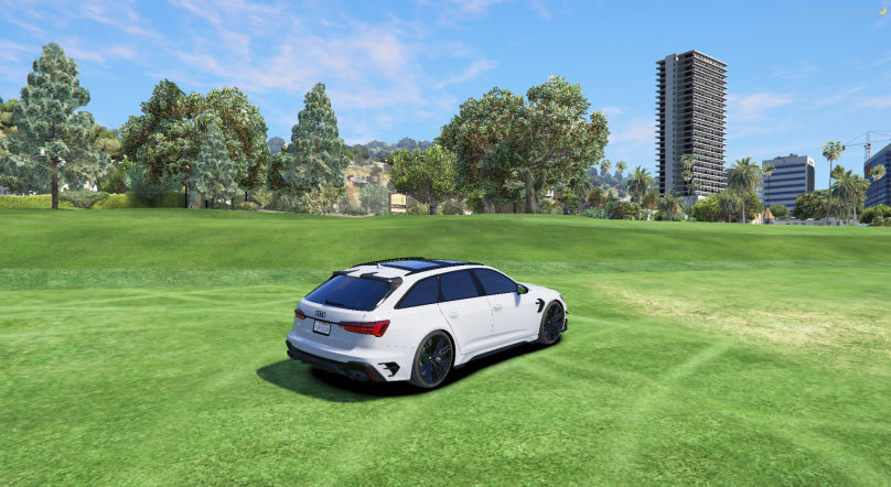 AUDI RS6 nevienetinis automobilis