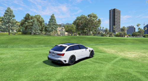 AUDI RS6 nevienetinis automobilis