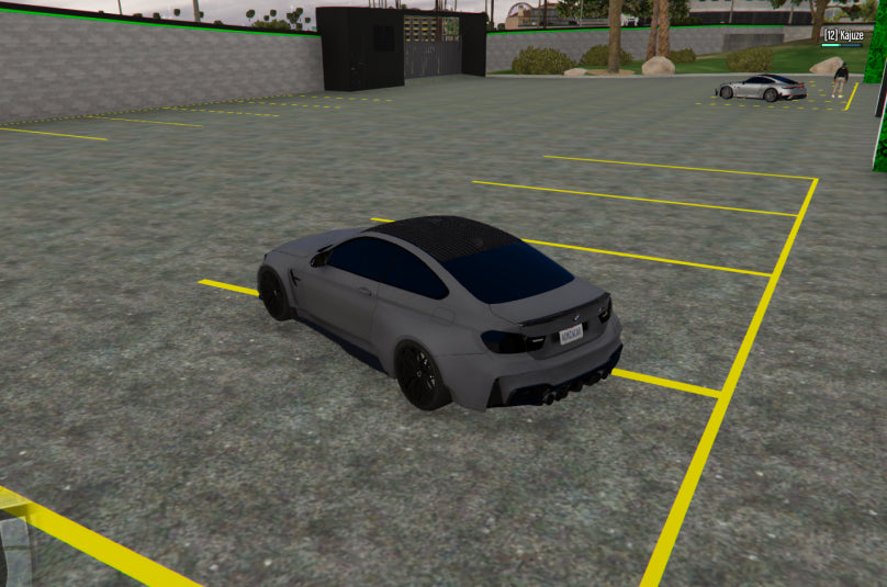 BMW nevienetinis automobilis