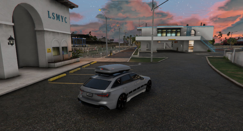 Audi RS6 Avant nevienetinis automobilis
